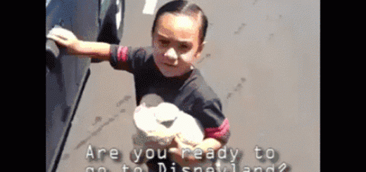 Ready+for+disneyland_2a4373_5483035