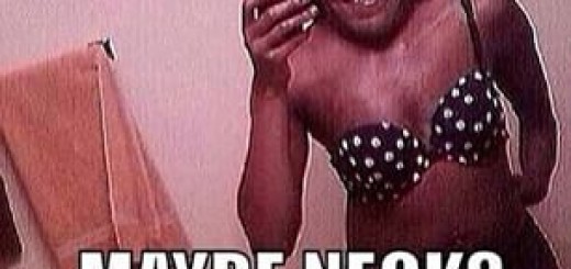 11008336_856093897781166_197675565_n