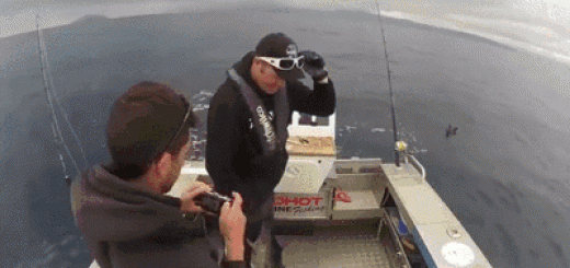 Guitar+hero_8e3359_5511617