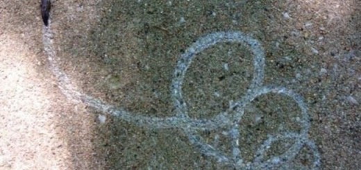 A+buzzed+slug_becf7c_5535697