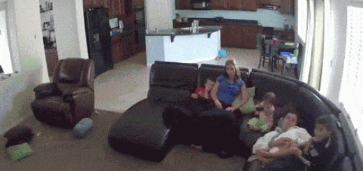 My+dad+senses+are+tingling_d83983_5545249