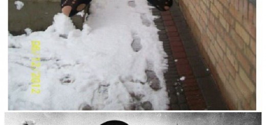 Photoshop_fdd691_5561299