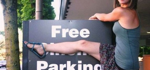 Free+pass_d6b401_5565109