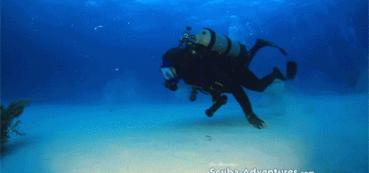 I+m+coming+to+eat+you_e48485_5564955