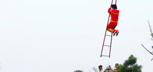 That+tiger+tho_0df2e5_5564791