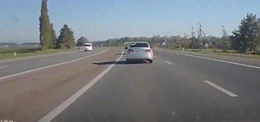 daily_gifdump_843_05