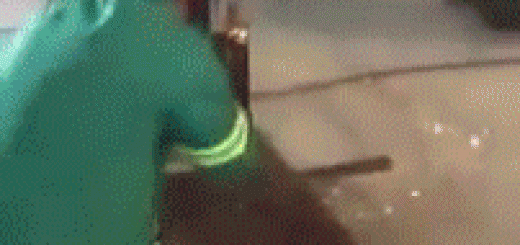 daily_gifdump_853_22