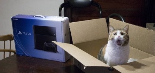 Happiness_864e8f_5617336