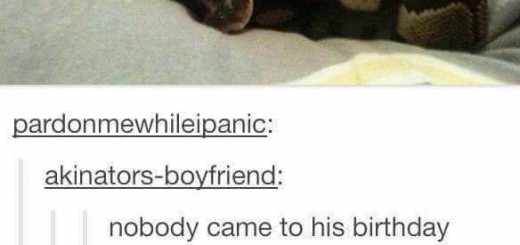 If+joshlol+was+a+snake_be591e_5616444