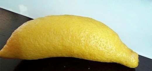 This+lemon+wants+to+be+a+banana+so+badly+post_920f3f_5613103