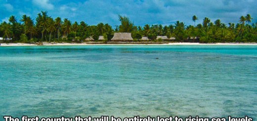 Title_25df3f_5617795