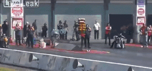 DependableWildFanworms