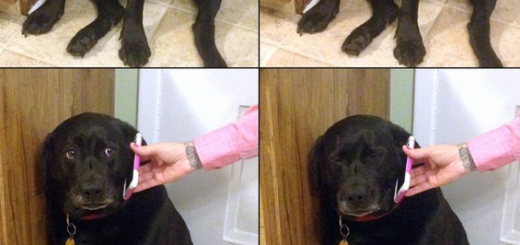 Damn+it+mom+small+subscribe+for+daily+inbox+rape+of+tumblr_66edff_5729073