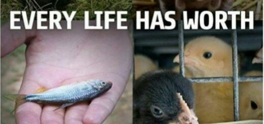 Every+life+has+worth_51d37e_5729746