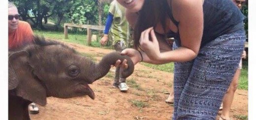 10312557_1047884308637067_3700252125051495544_n