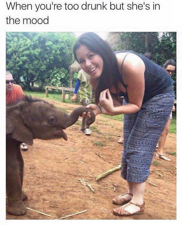 10312557_1047884308637067_3700252125051495544_n