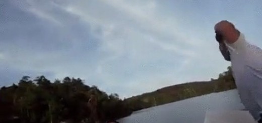 Toss+me+a+cold+one_df3d99_5763251 thumbnail