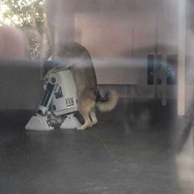 funny_pictures_of_the_day_5