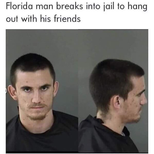 tumblr_o0i4s5iWf91s8as3do1_500