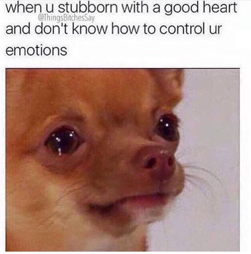 tumblr_o2b8iut62P1tmohiko1_500