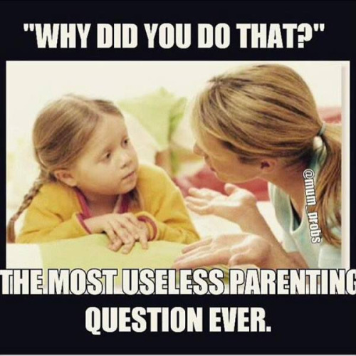 tumblr_o2de31XkNd1r2alapo1_500