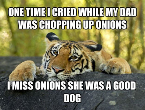 tumblr_o2j9haNtpX1rir0h2o1_500