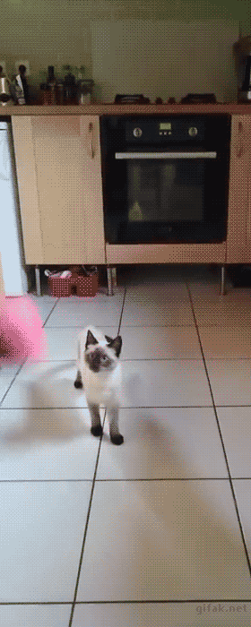 tumblr_o2u6ykxZVA1ukldkho1_500