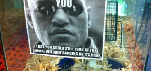 tumblr_o2vgdwsj4D1rir0h2o1_500