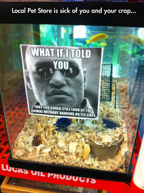 tumblr_o2vgdwsj4D1rir0h2o1_500