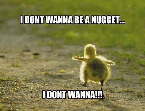 tumblr_o2wpemkrVf1uvjotlo1_500