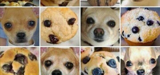 12791005_10205716905953899_971163481211280154_n