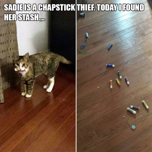 tumblr_nr0tp7ca1H1r5c8qzo3_500