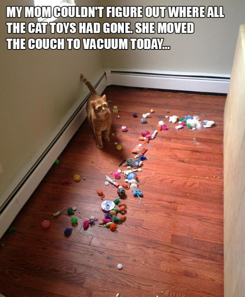 tumblr_nr0tp7ca1H1r5c8qzo4_500