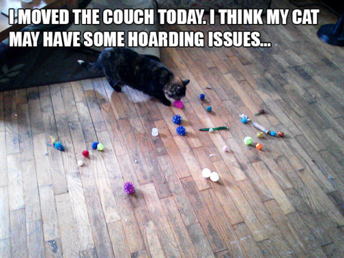 tumblr_nr0tp7ca1H1r5c8qzo6_500