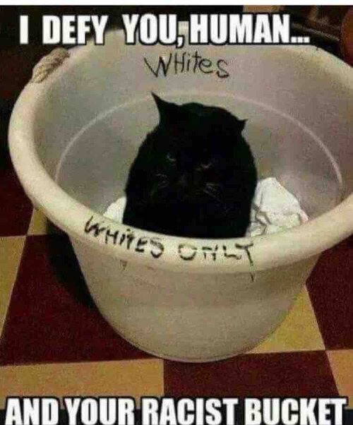 tumblr_o2r9ivz2x91s7fwo7o1_500