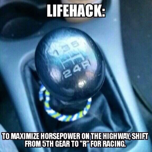 tumblr_o4i10o6goC1qzag1wo1_500