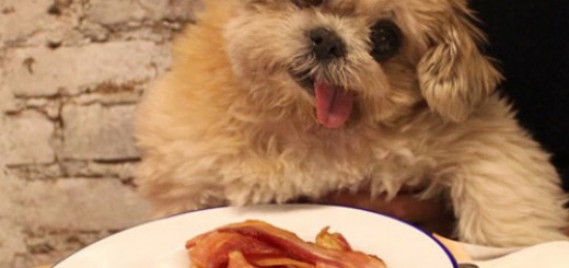 tumblr_o4lncc8ngZ1rir0h2o1_500