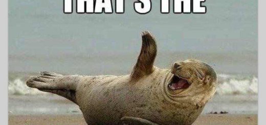 2c7478405b35d376715a487d981e5098