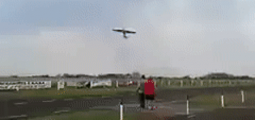 daily_gifdump_1050_28