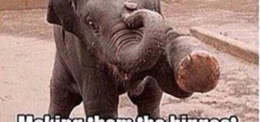 tumblr_o4w2mtDPAZ1r2alapo1_500