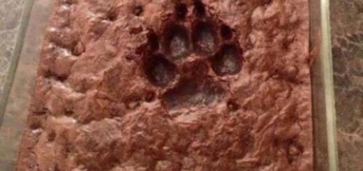 tumblr_o4w2mwRuVr1r2alapo1_500