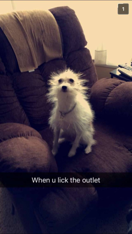 tumblr_o4w2n2U3vz1r2alapo1_500