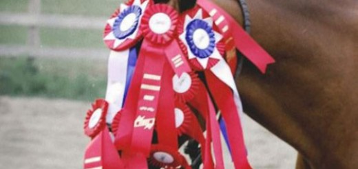 tumblr_o4zjwzLtWZ1rir0h2o1_500