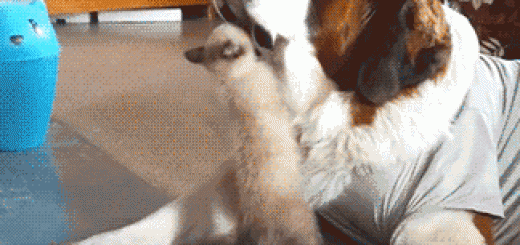 tumblr_o4zliiHyrA1rir0h2o1_400