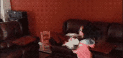 tumblr_o50jje4e5N1t0gs1do1_400