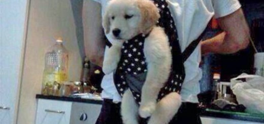 tumblr_o5265u5NP21rir0h2o1_500