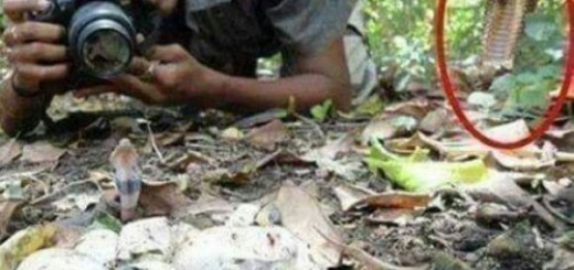 tumblr_o52ax8GvmE1s7fwo7o1_500