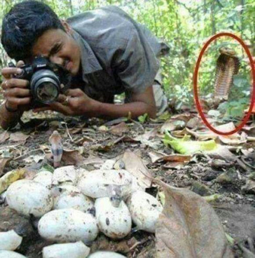 tumblr_o52ax8GvmE1s7fwo7o1_500