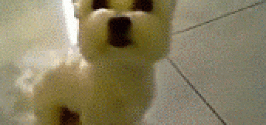 My+face+whenever+somebody+thumbs+up+oc_0280af_3495685