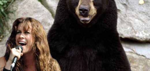 alanis-morissettes-cross-eyed-bear-7410-1291733575-7